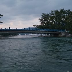 2015　初シーバス